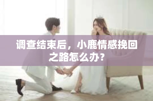 调查结束后,小鹿情感挽回之路怎么办? 调查结束后,小鹿情感挽回之路怎么办?