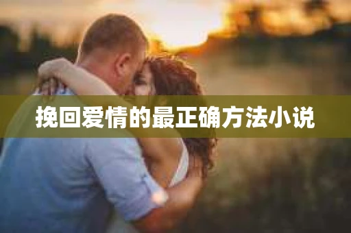 挽回爱情的最正确方法小说