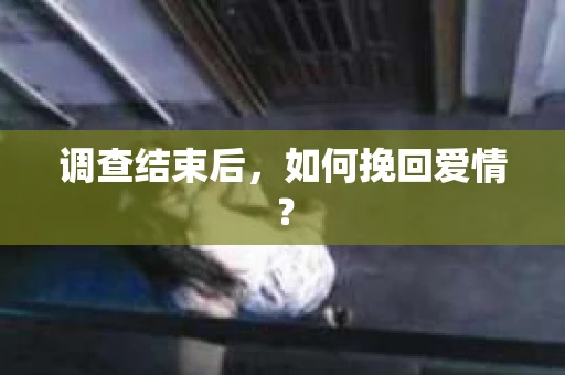 调查结束后，如何挽回爱情？