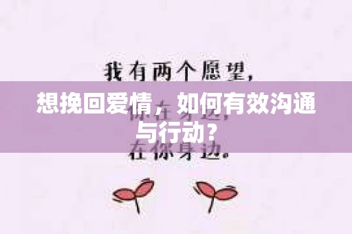 想挽回爱情，如何有效沟通与行动？