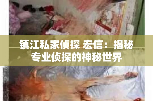 镇江私家侦探 宏信：揭秘专业侦探的神秘世界