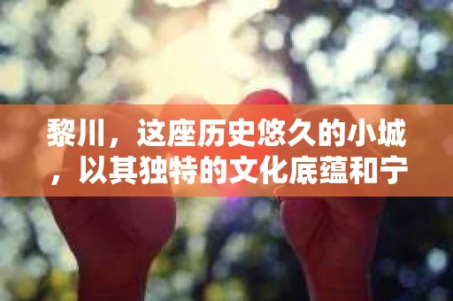 黎川，这座历史悠久的小城，以其独特的文化底蕴和宁静的生活节奏吸引着无数游客。然而，在这样一个看似平静的城市里，你是否会好奇，有没有私家侦探机构的存在呢？今天，就让我带你一探究竟。