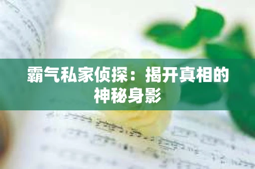 霸气私家侦探：揭开真相的神秘身影
