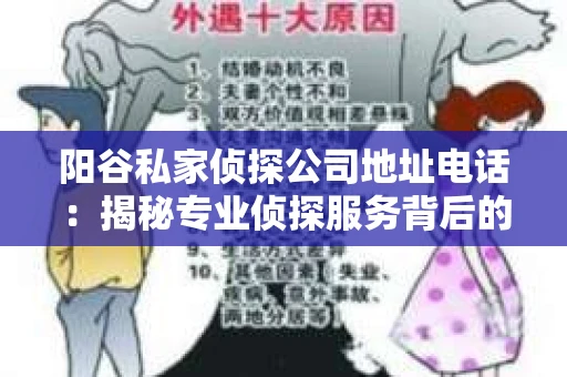 阳谷私家侦探公司地址电话：揭秘专业侦探服务背后的故事