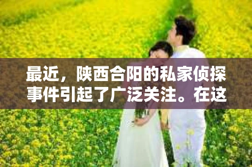 最近，陕西合阳的私家侦探事件引起了广泛关注。在这个信息爆炸的时代，隐私保护显得尤为重要。今天，我们就来聊聊这个事件，看看它背后的一些故事。