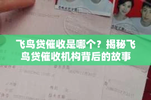 飞鸟贷催收是哪个？揭秘飞鸟贷催收机构背后的故事