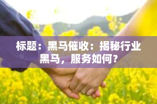 标题：黑马催收：揭秘行业黑马，服务如何？