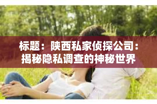 标题:陕西私家侦探公司:揭秘隐私调查的神秘世界 标题:陕西私家侦探公司:揭秘隐私调查的神秘世界