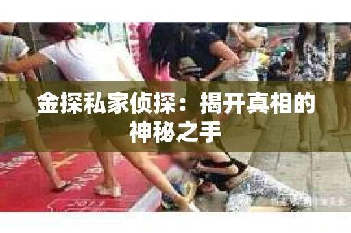 金探私家侦探：揭开真相的神秘之手