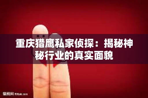 重庆猎鹰私家侦探：揭秘神秘行业的真实面貌