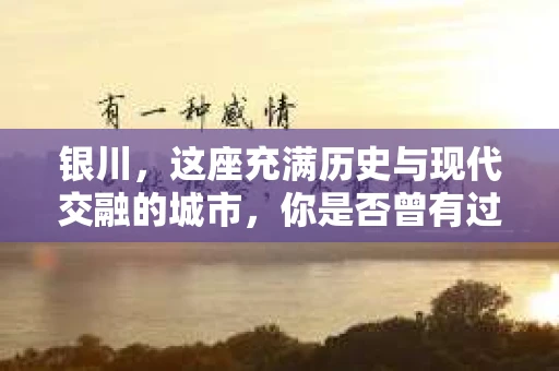 银川，这座充满历史与现代交融的城市，你是否曾有过这样的疑问：银川有私家侦探公司吗？今天，就让我带你一起揭开这个谜团。