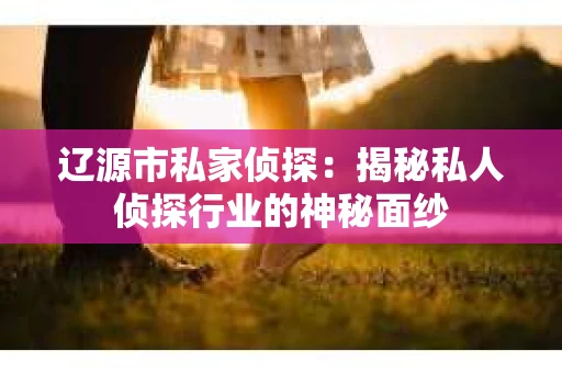 辽源市私家侦探：揭秘私人侦探行业的神秘面纱