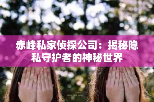 赤峰私家侦探公司：揭秘隐私守护者的神秘世界