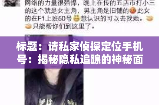 标题：请私家侦探定位手机号：揭秘隐私追踪的神秘面纱