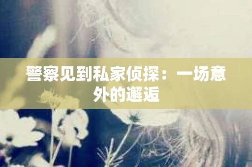 警察见到私家侦探：一场意外的邂逅
