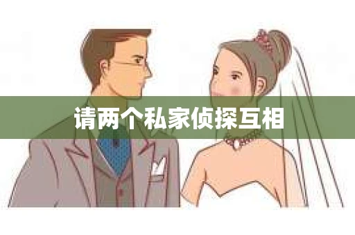 请两个私家侦探互相 请两个私家侦探互相