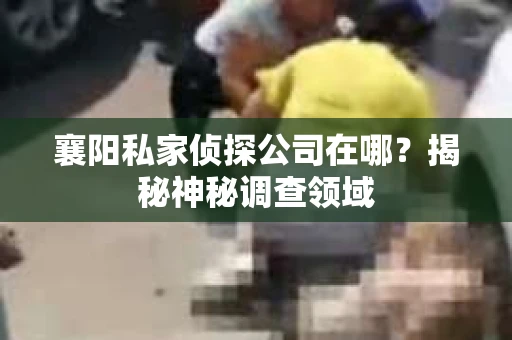 襄阳私家侦探公司在哪？揭秘神秘调查领域