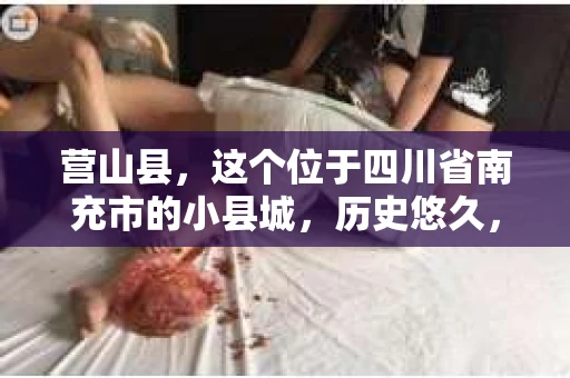 营山县，这个位于四川省南充市的小县城，历史悠久，风景秀丽。但在这个宁静的小县城里，你是否会好奇，有没有私家侦探的存在呢？今天，我就来和大家聊聊这个话题。