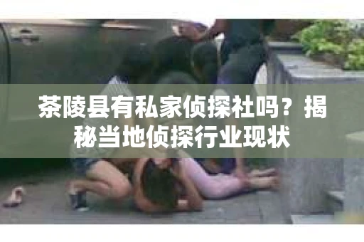 茶陵县有私家侦探社吗？揭秘当地侦探行业现状