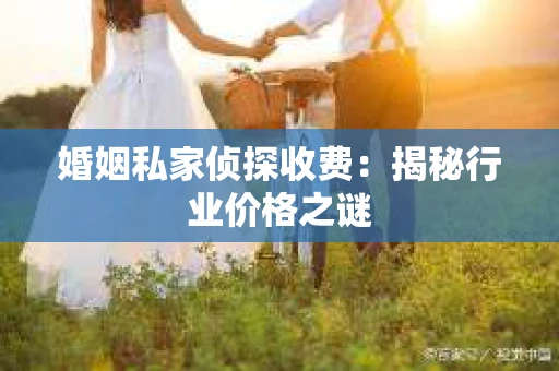 婚姻私家侦探收费：揭秘行业价格之谜