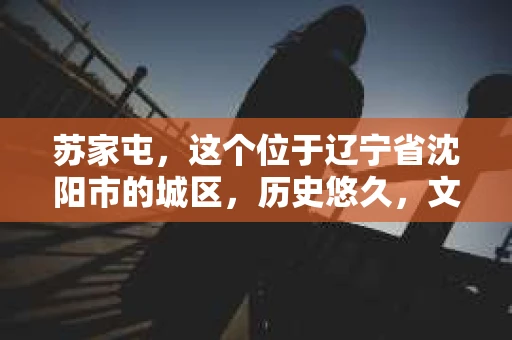 苏家屯，这个位于辽宁省沈阳市的城区，历史悠久，文化底蕴深厚。近年来，随着社会的发展，人们对于私家侦探的需求也逐渐增加。那么，苏家屯有私家侦探吗？今天，我们就来聊聊这个话题。