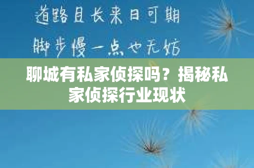 聊城有私家侦探吗？揭秘私家侦探行业现状