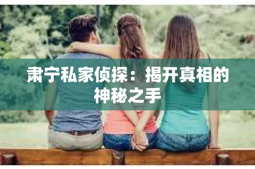 肃宁私家侦探：揭开真相的神秘之手