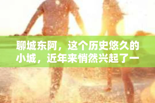 聊城东阿，这个历史悠久的小城，近年来悄然兴起了一股新的服务潮流——私家侦探。今天，我们就来聊聊这个话题，看看在聊城东阿，私家侦探是如何成为人们生活中的一部分的。