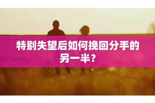 特别失望后如何挽回分手的另一半？