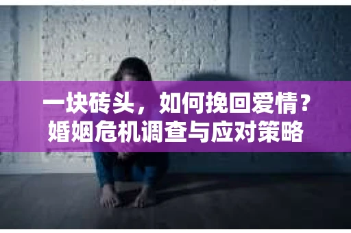 一块砖头，如何挽回爱情？婚姻危机调查与应对策略