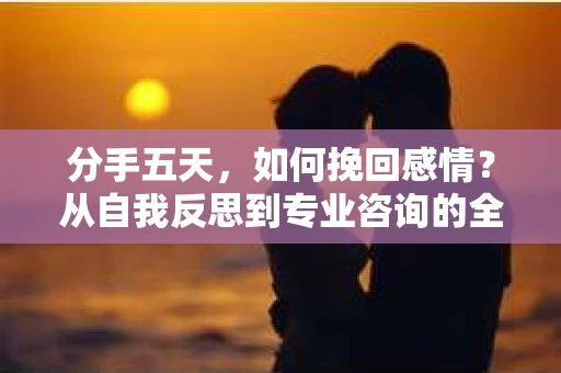 分手五天，如何挽回感情？从自我反思到专业咨询的全面解决方案