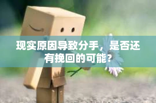 现实原因导致分手，是否还有挽回的可能？