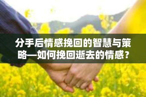 分手后情感挽回的智慧与策略—如何挽回逝去的情感？